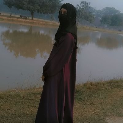 rabiaamir328695's profile picture. 