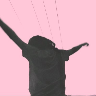 yungsheu's profile picture. centipede