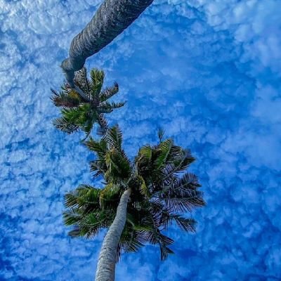 CalebYimbo's profile picture. Treat everyday like it's day one.
Copywriter, Academic Writer.