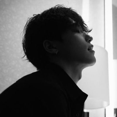 Roleplayer Dino of Seventeen
