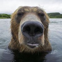 güney (@d1scoveryfps) 's Twitter Profile