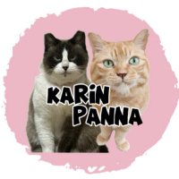 かりんぱんな (@karin_panna) 's Twitter Profile