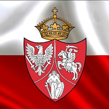 Jestem jednym z 7 milionów 64 tysięcy 481 problemów Tuska! Jeszcze Polska nie zginęła! 
#HusariaHistorii