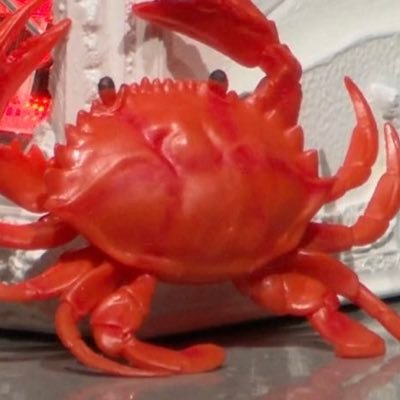 火に薪がくべられた