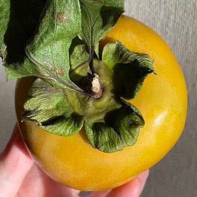🔴さんのプロフィール画像