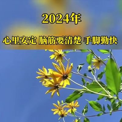 xyng31074's profile picture. 