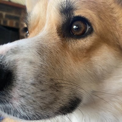 Joshua462715015's profile picture. 