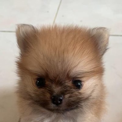 drinktilldrunkx's profile picture. 