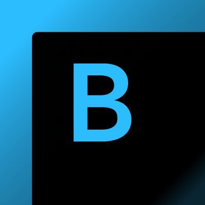 bsurveillance Profile Picture