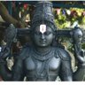 HinduNilesh9543's profile picture. मन भी भगवा, 
तन भी भगवा, 
भगवा रंग जवानी का,
कह गय वीर भगतसिंह, 
रंग हैं ये बलिदानी का।🚩