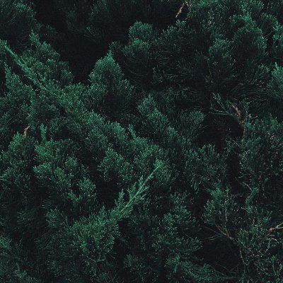 xxeze's profile picture. Natur3