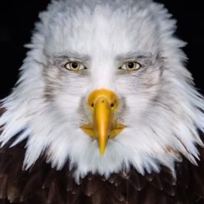 tahawaheeed's profile picture. not me.