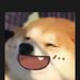 不瘦十斤不改名。 (@y9ms6l6pygttxze) Twitter profile photo 不瘦十斤不改名。 (@y9ms6l6pygttxze) Twitter profile photo