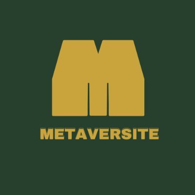 Metaversité