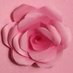 Rose🌹 (@versailles2019) Twitter profile photo Rose🌹 (@versailles2019) Twitter profile photo