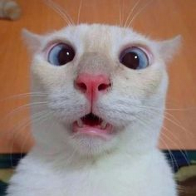 luciano_1o's profile picture. 
