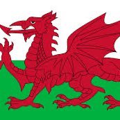 WOrFwales Profile Picture