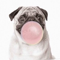 Bubbles (@bubbless2k22) 's Twitter Profile Photo Bubbles (@bubbless2k22) 's Twitter Profile Photo