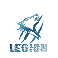 Legion Gaming is the E-Sports branch of Tempest Steel Legion