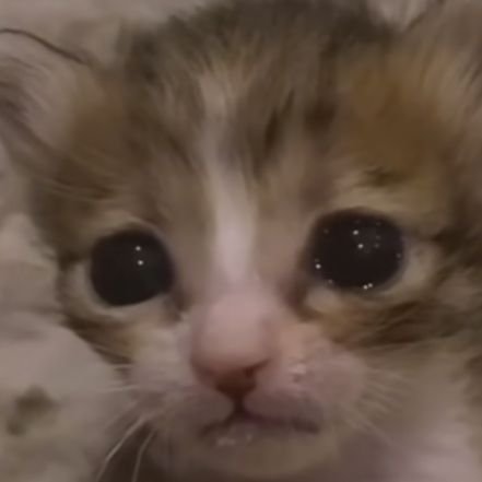 MartinStan30364's profile picture. 