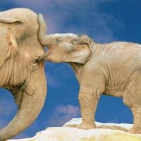 Karen (@clancysmama) 's Twitter Profile Photo