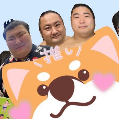 shiba_sumo Profile Picture