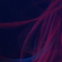 The Fauns (@thefaunsband) 's Twitter Profile