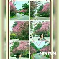 miosakia's profile picture. 노라☆黃毓淇
✨Kpop Dancer
🤍Outfits,Travels,Poses & K-beauty Inspo
Sardinian📍In VENICE🚣
👩🏻‍💻IMP-EXP
Ca' Foscari🎓Chinese
AFS🗺️HONG KONG 1415
🗣️🇮🇹•🇬🇧•🇨🇳•🇰🇷•🇭🇰