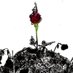 Art Man Wan (@art_man_wan) Twitter profile photo Art Man Wan (@art_man_wan) Twitter profile photo