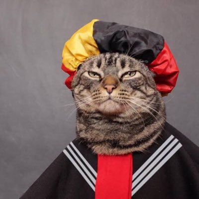 SPYZZX7's profile picture. desista hj pra nao perder amanha