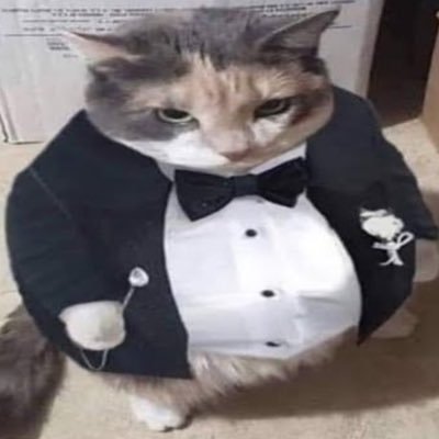 sa4mm___'s profile picture. 