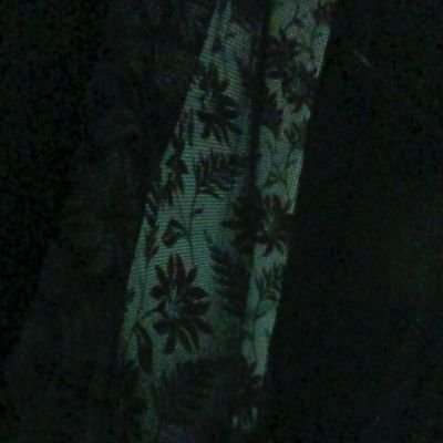 Div_236's profile picture. 🇮🇳🙏🇵🇸🍉