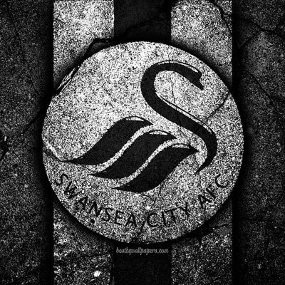 swansdaviesgjd's profile picture. Football Football news Sport