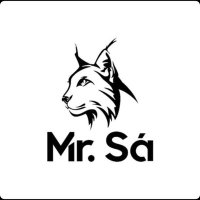 Sá (@_sa_yt) 's Twitter Profile
