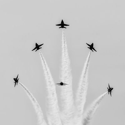 Hammadshafiq388's profile picture. 