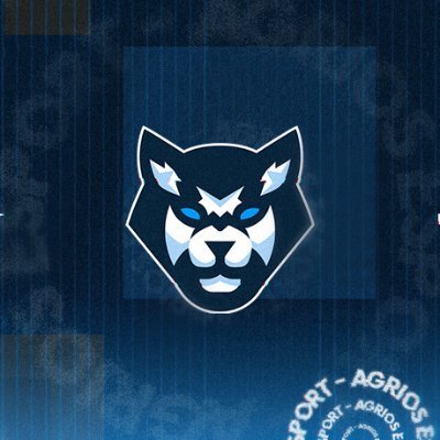 🇫🇷 E-sport Organisation on @Rainbow6Game and @FortniteGame ▫️ Powered by : @eliminate_fr X @fragcase X @BeNRV_Official▫️ #StayAgrios 🐺