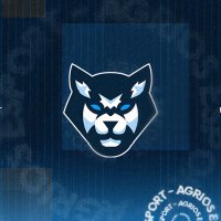 Agrios Esport 🐺 (@agriosesport) 's Twitter Profile