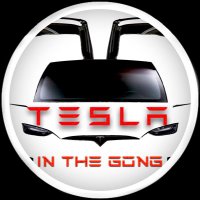 Tesla in the Gong 🇦🇺🦘🤖🚕(@TeslaGong) 's Twitter Profile Photo