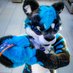 Kasper King of the Crib (@mutt_peanut) Twitter profile photo Kasper King of the Crib (@mutt_peanut) Twitter profile photo