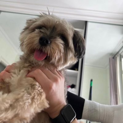 BurchellHa7999's profile picture. 