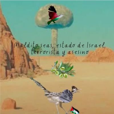 Médico con doctorado honoris causa en memes por la Universidad de Jarvard. La bokazion no existe, son los papás. El SS ni debería existir.