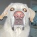 Notloc (@n0tl0c7) Twitter profile photo