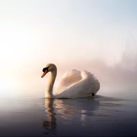 Rita741 (@rita741101) 's Twitter Profile Photo