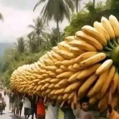 JessicaL49744's profile picture. 