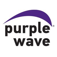 Purple Wave Auction(@purplewave) 's Twitter Profile Photo