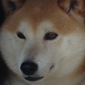 葦人さんのプロフィール画像