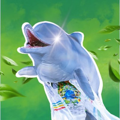 Perfil Oficial do Melhor Boto De Alter 💚 BICAMPEÃO- Festival dos Botos 2023 🏆🤍