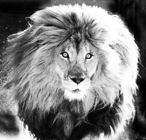 SKIMASKWAY's profile picture. 