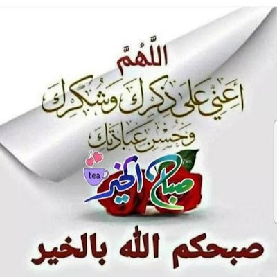 brhymmtwly48273's profile picture. 