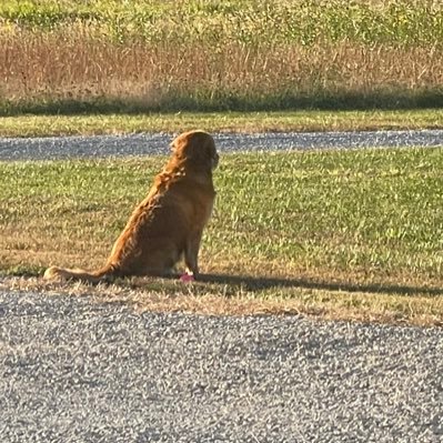 CallyJohnson13's profile picture. 